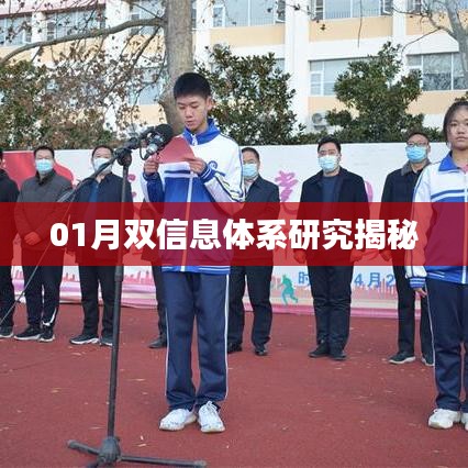 揭秘双信息体系研究，深度解析一月进展