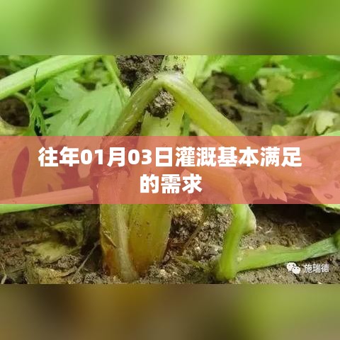 第774页
