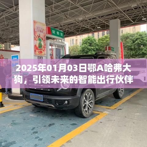 2025年鄂A哈弗大狗，智能出行先锋伙伴