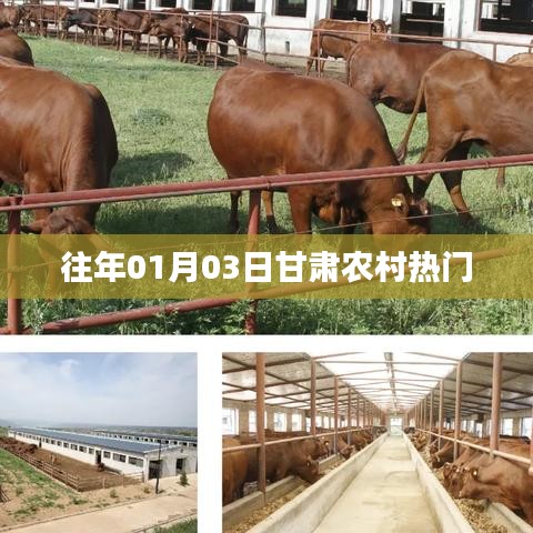 甘肃农村历年元旦热门盛况回顾