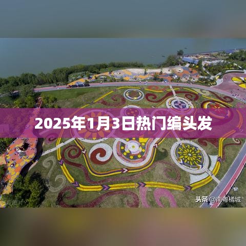 为民请命 第2页