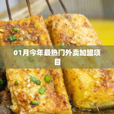 今年一月最火热外卖加盟项目大盘点