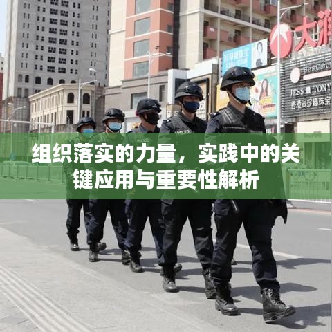 小鸟伊人 第2页