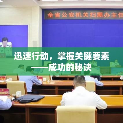 迅速行动，掌握关键要素——成功的秘诀