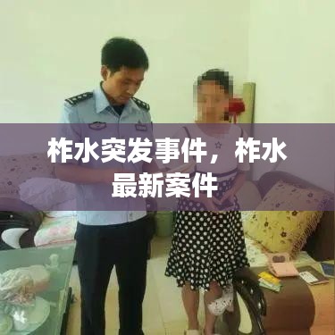 柞水突发事件，柞水最新案件 