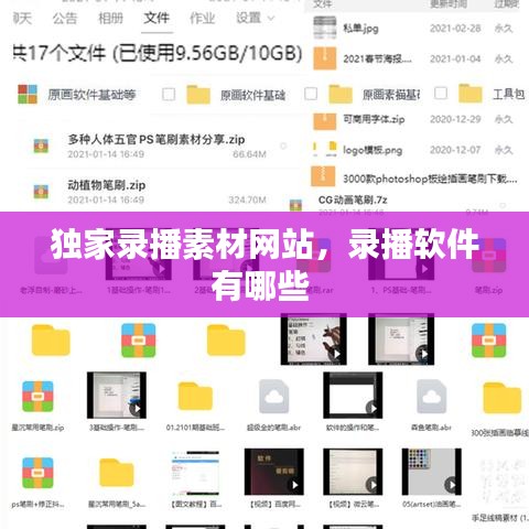 独家录播素材网站，录播软件有哪些 