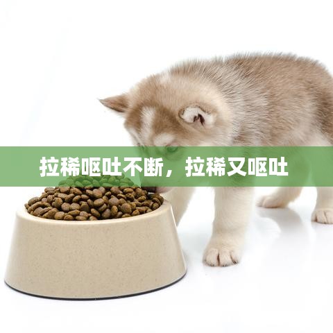 拉稀呕吐不断，拉稀又呕吐 
