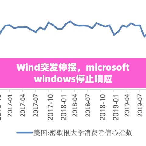Wind突发停摆，microsoft windows停止响应 