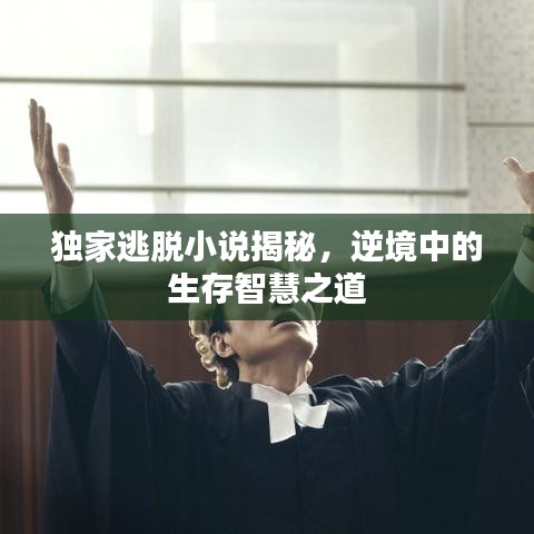 独家逃脱小说揭秘，逆境中的生存智慧之道