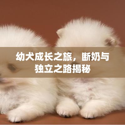 产品中心 第99页