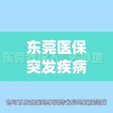 东莞医保突发疾病报销机制详解，保障你的健康与权益