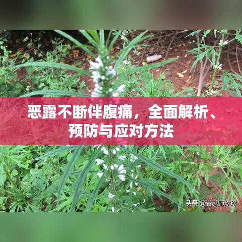恶露不断伴腹痛，全面解析、预防与应对方法