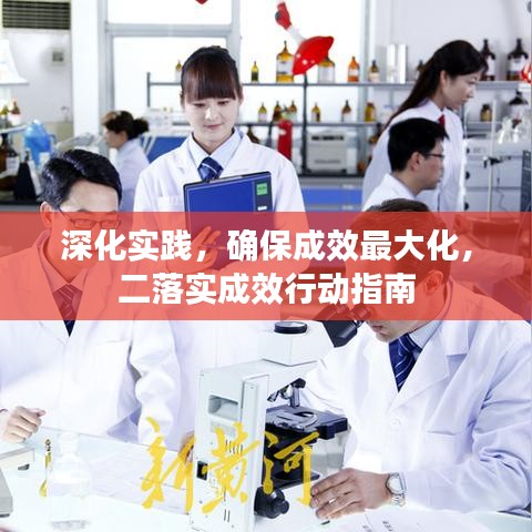 深化实践，确保成效最大化，二落实成效行动指南
