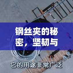 钢丝夹的秘密，坚韧与力量的完美融合之道