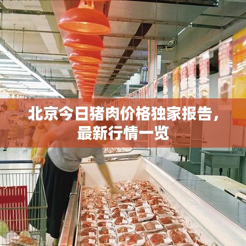 北京今日猪肉价格独家报告，最新行情一览