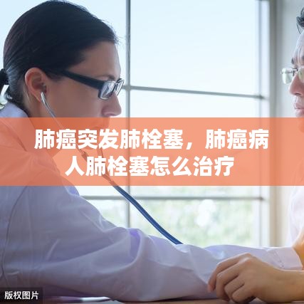一本正经 第2页
