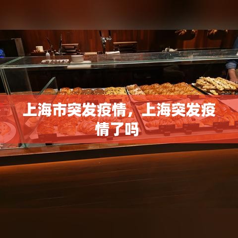 上海市突发疫情，上海突发疫情了吗 