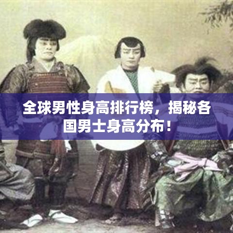 穷鸟入怀 第2页