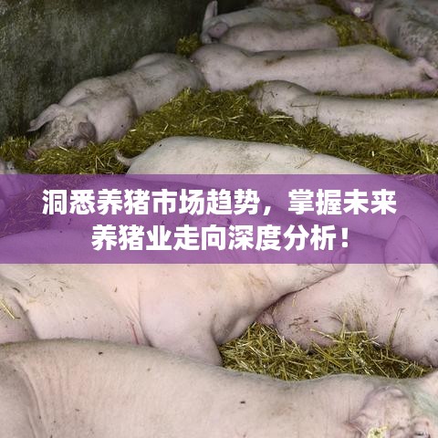另谋高就 第2页