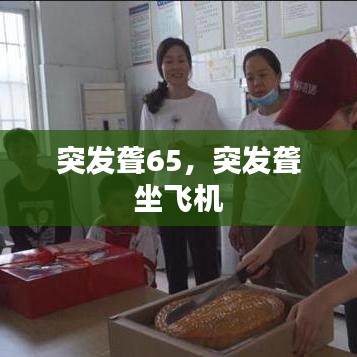 突发聋65，突发聋 坐飞机 