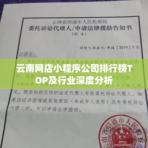 云南网店小程序公司排行榜TOP及行业深度分析