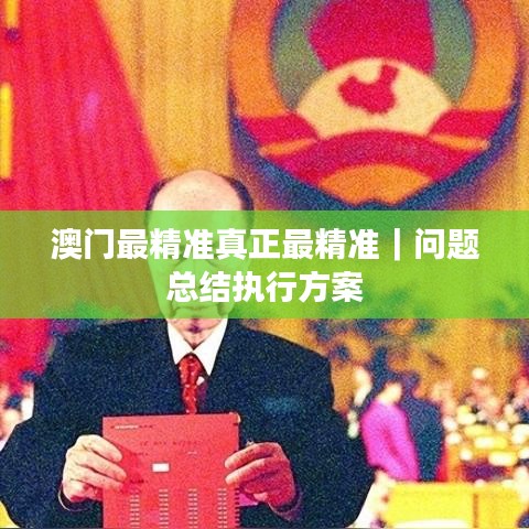 澳门最精准真正最精准｜问题总结执行方案