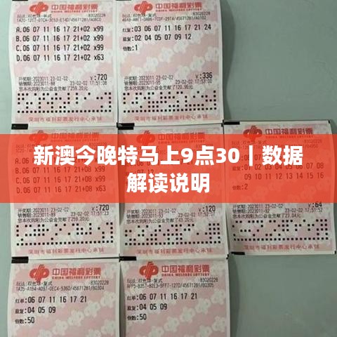 新澳今晚特马上9点30｜数据解读说明