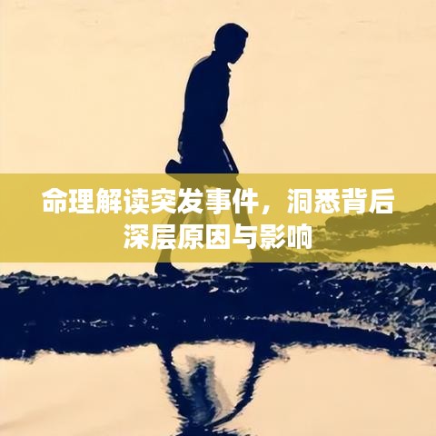 命理解读突发事件，洞悉背后深层原因与影响