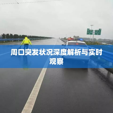 周口突发状况深度解析与实时观察