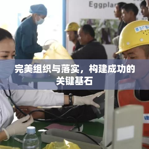 完美组织与落实，构建成功的关键基石