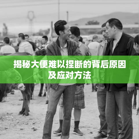 揭秘大便难以捏断的背后原因及应对方法