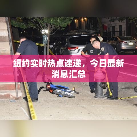 纽约实时热点速递，今日最新消息汇总
