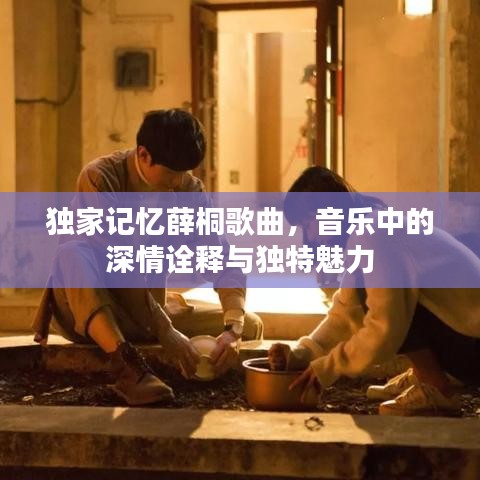 独家记忆薛桐歌曲，音乐中的深情诠释与独特魅力