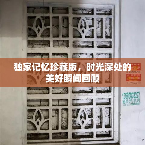 独家记忆珍藏版，时光深处的美好瞬间回顾