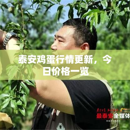 泰安鸡蛋行情更新，今日价格一览