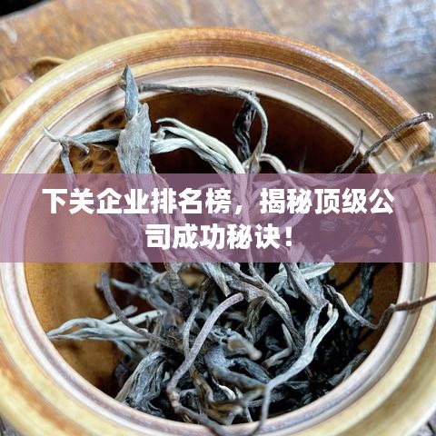 下关企业排名榜，揭秘顶级公司成功秘诀！