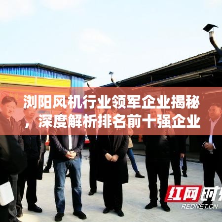 浏阳风机行业领军企业揭秘，深度解析排名前十强企业
