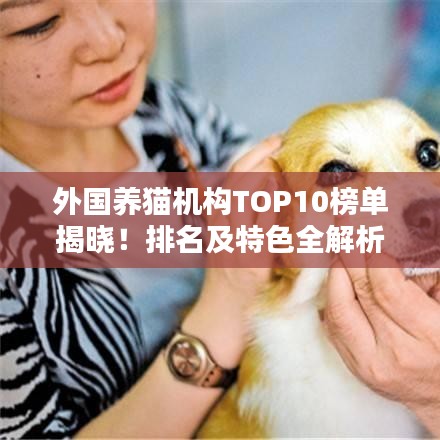 外国养猫机构TOP10榜单揭晓！排名及特色全解析