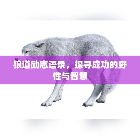 不堪造就 第2页