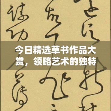 今日精选草书作品大赏，领略艺术的独特魅力