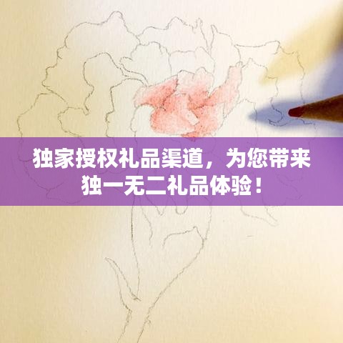 独家授权礼品渠道，为您带来独一无二礼品体验！