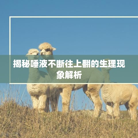 揭秘唾液不断往上翻的生理现象解析