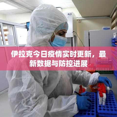 伊拉克今日疫情实时更新，最新数据与防控进展