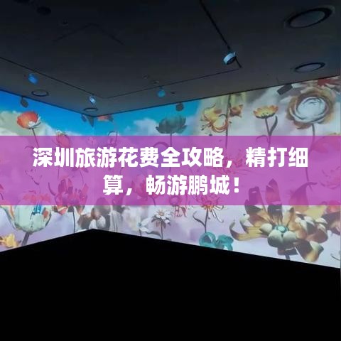 深圳旅游花费全攻略，精打细算，畅游鹏城！
