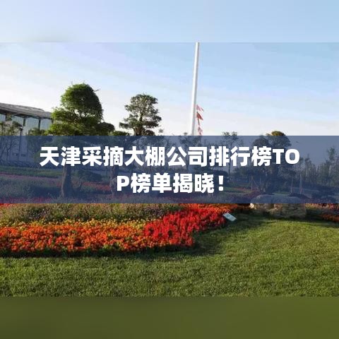 天津采摘大棚公司排行榜TOP榜单揭晓！