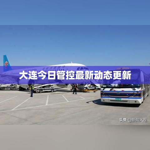 轻飞曼舞 第2页