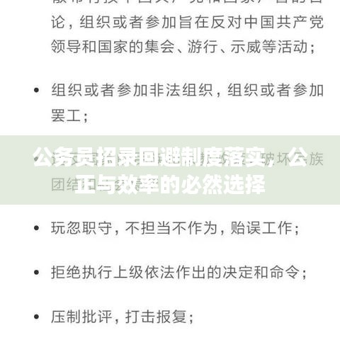 公务员招录回避制度落实，公正与效率的必然选择