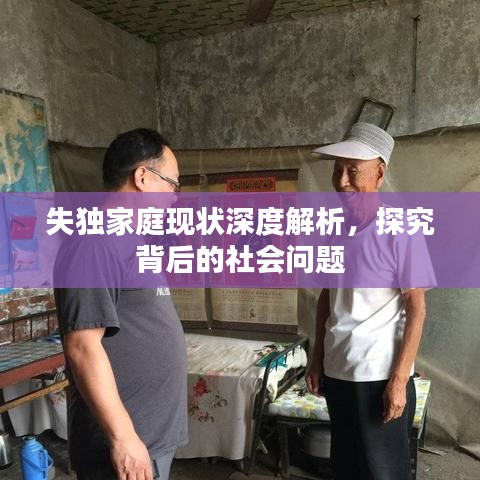 失独家庭现状深度解析，探究背后的社会问题