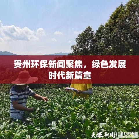 贵州环保新闻聚焦，绿色发展时代新篇章