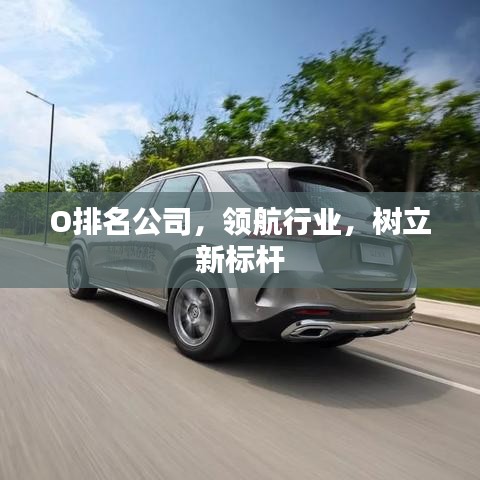 O排名公司，领航行业，树立新标杆